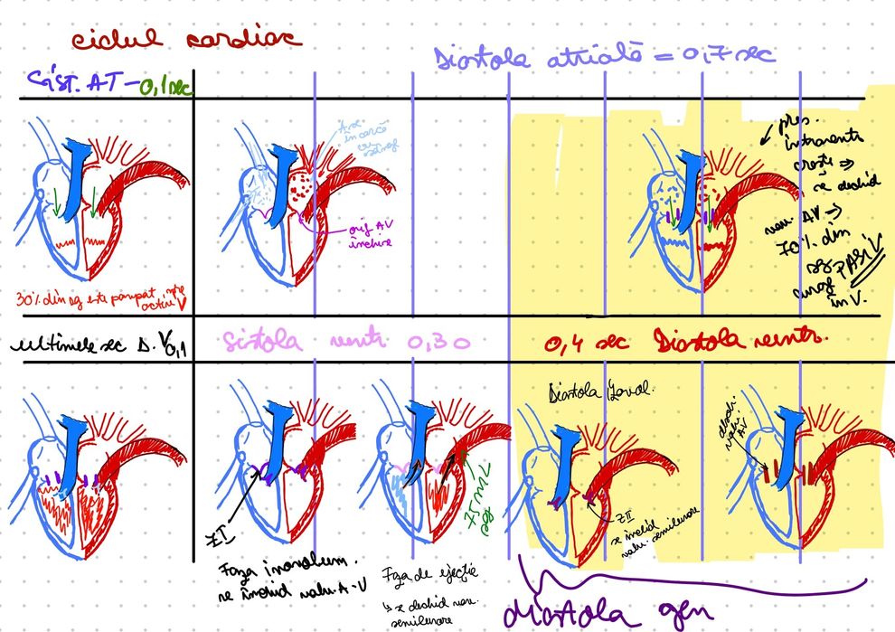 Meditații Biologie  fizic/online