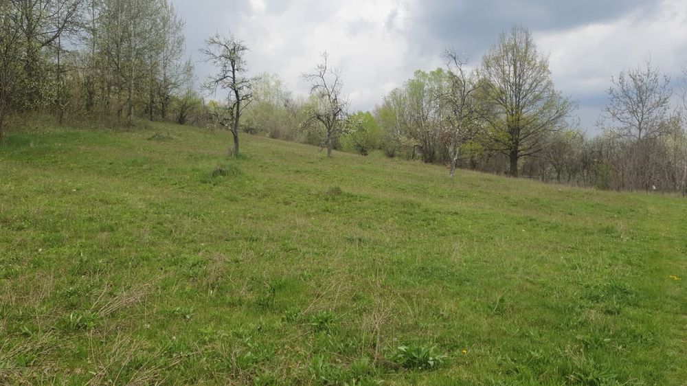 (lângă horezu) – ansamblu terenuri 9.364