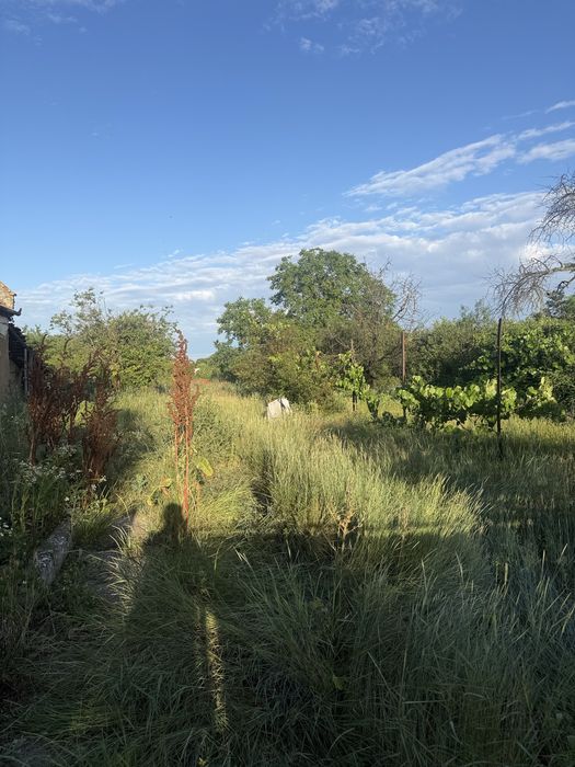 Vand casa in localitatea gelu