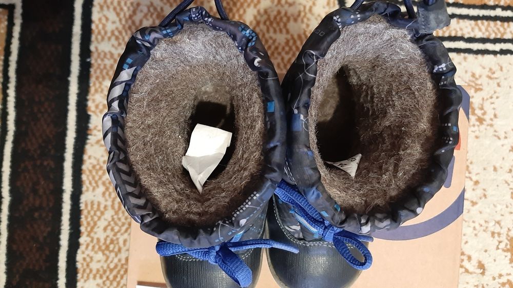 Детские сапоги на мальчика