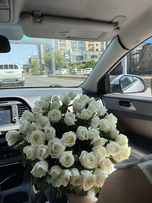 свежие 51 белые розы 70см