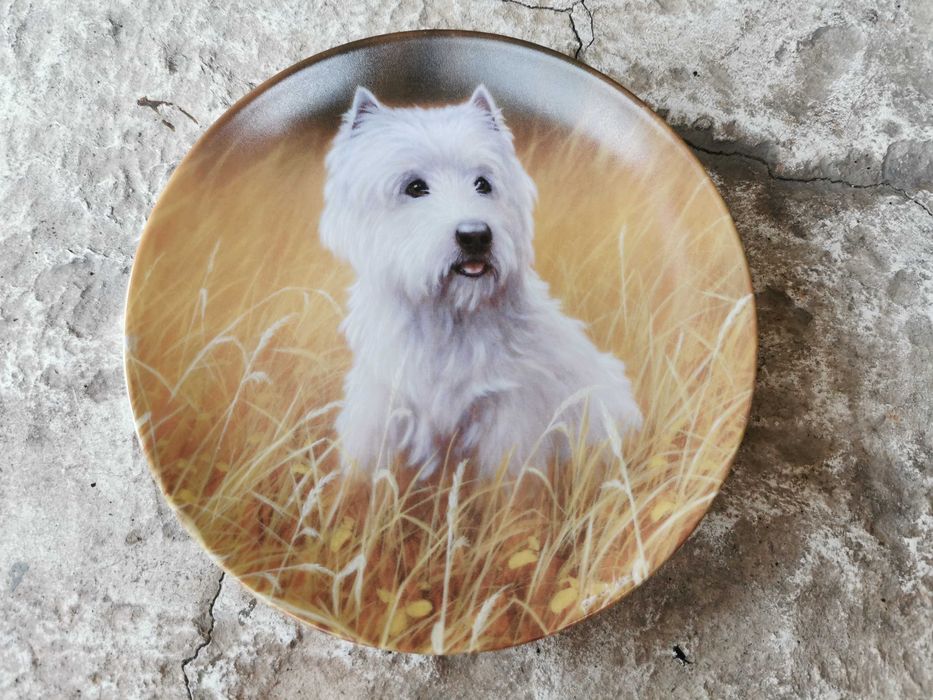 Порцеланови чинии за стена