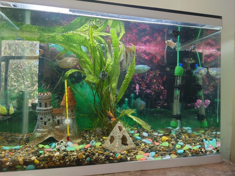 Аквариум 95 литровый