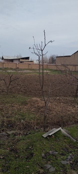 Yer sotiladi srochno narxi kelishiladi