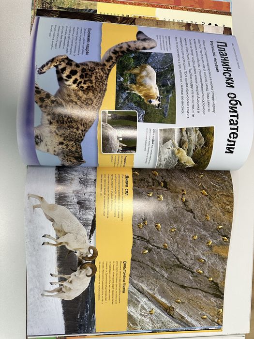 Енциклопедия  Animal Planet