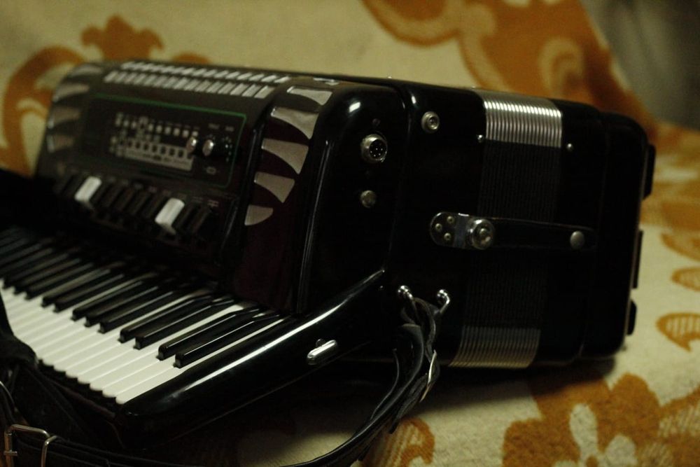 Vand acordeon Excelsior model profi