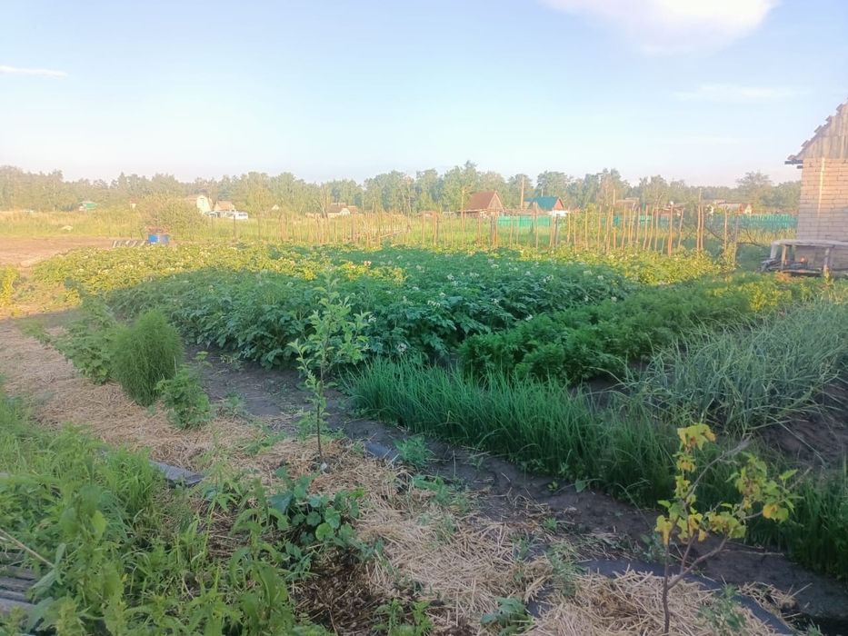 Продам дачу Новопавловка Ст Энергетик 2