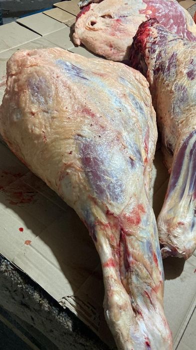 Мясо молодняк Конина Говядина