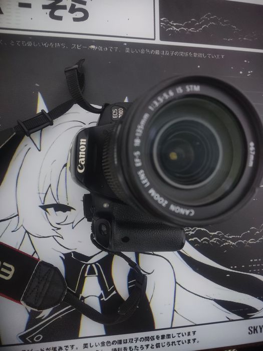 Canon EOS 700D (фотоаппарат)