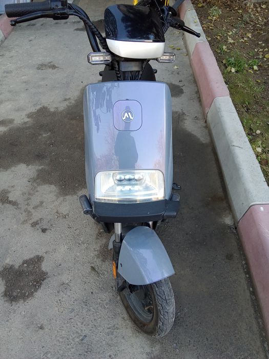 Avalon skutor elektroni