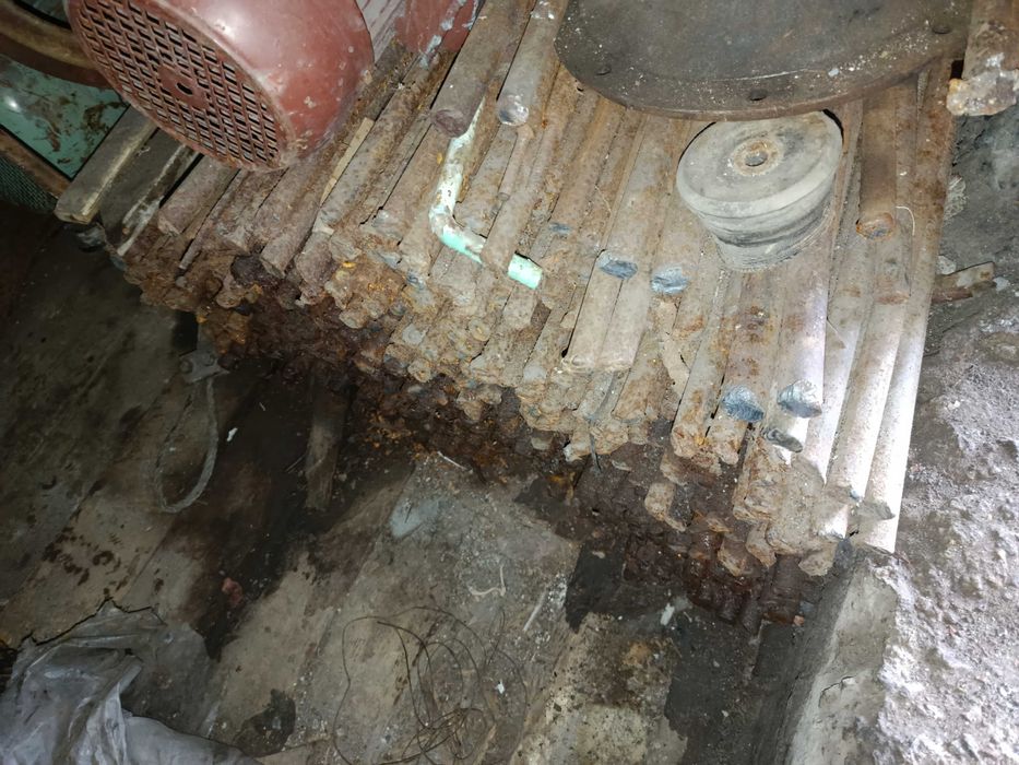 Кругляк в хорошем состоянии