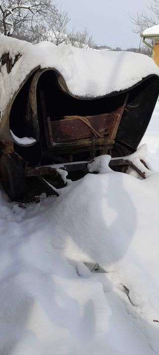 Poneii armăsar cu hamuri și căruță!