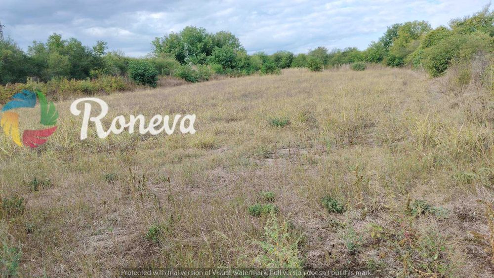 Продава се Парцел в с. Дряновец, Област Разград - 2090 кв.м за 12 €/кв.м - Снимка #3