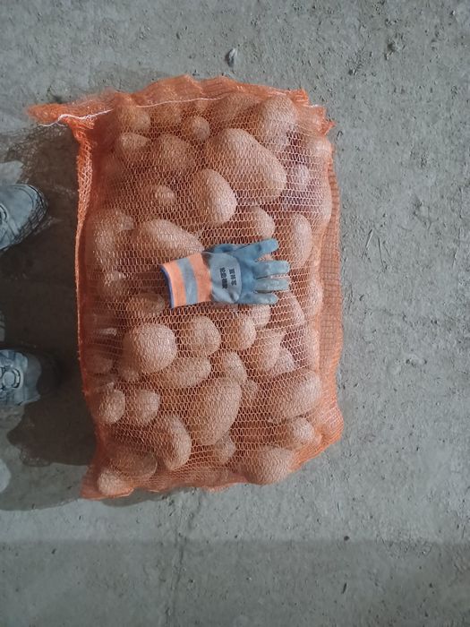 Cartofi 55+ de nisip 25kg egalizat