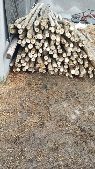 Vînd pari de de roșii