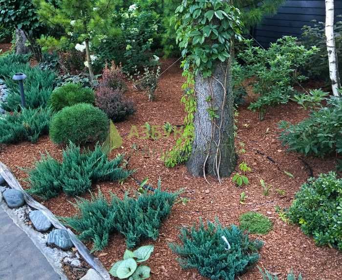 Мульча лиственницы оптом и в розницу