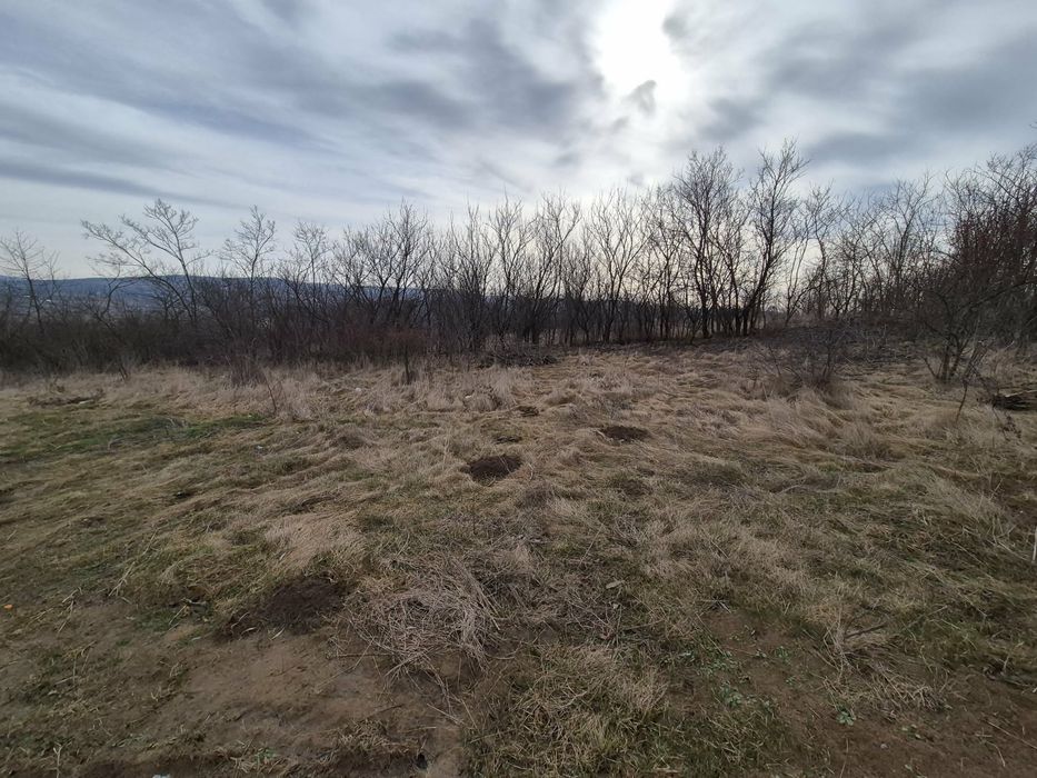 Teren intravilan 493 mp în Ciurea, Iași, vedere panoramică, apă și canalizare, ideal pentru casă