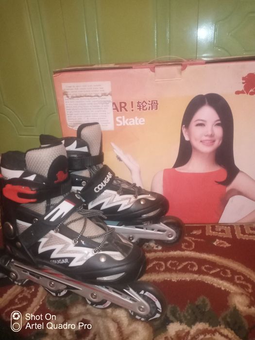 Cougar rolik sotiladi