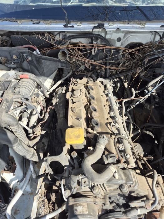 Motor bmw 3.0 diesel