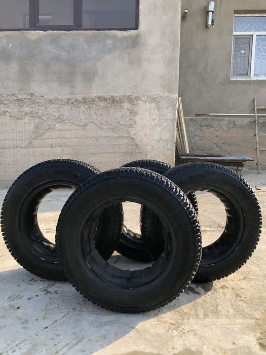 Нива шина шымкентте тур