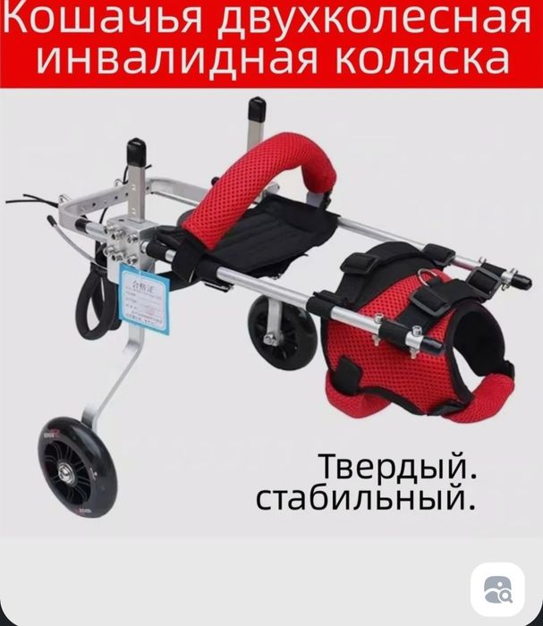 Инвалидная коляска для кошки
