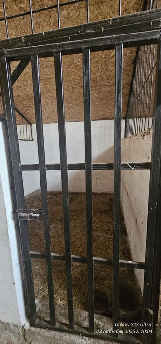 Продам животноводческую базу