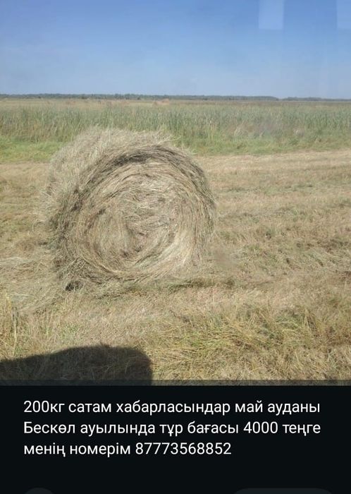 Продам сено рулонное