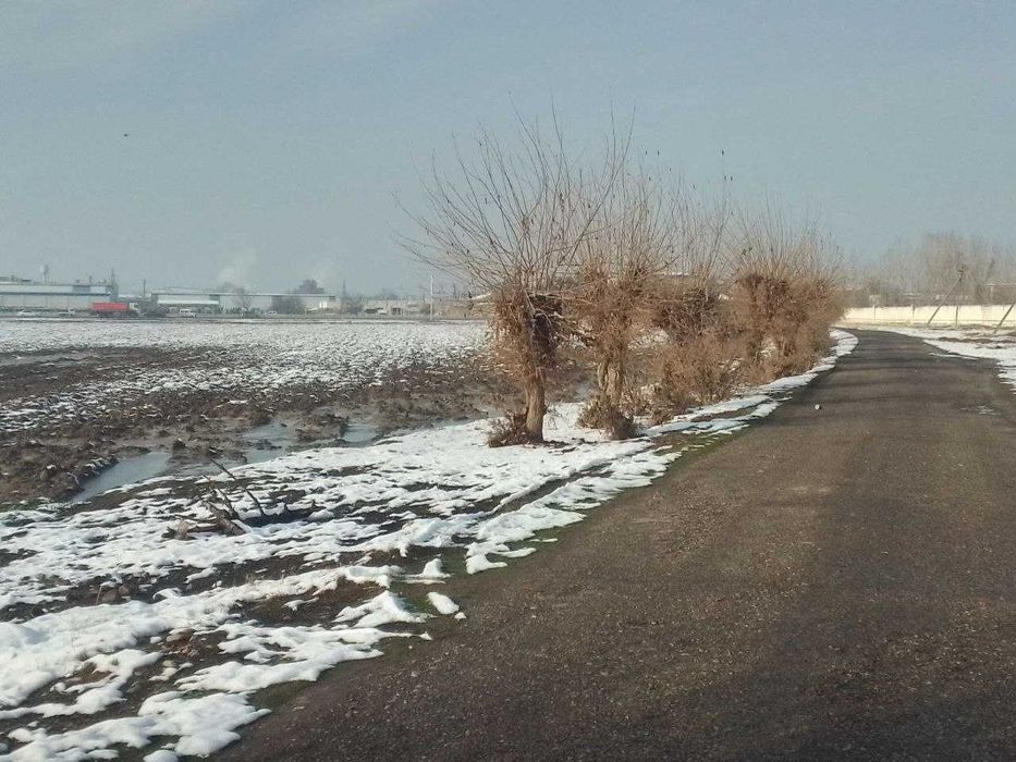 Яангиол тумани М34 Йолида 1 гектару 70 сотих ишлаб чиказиш учун жои