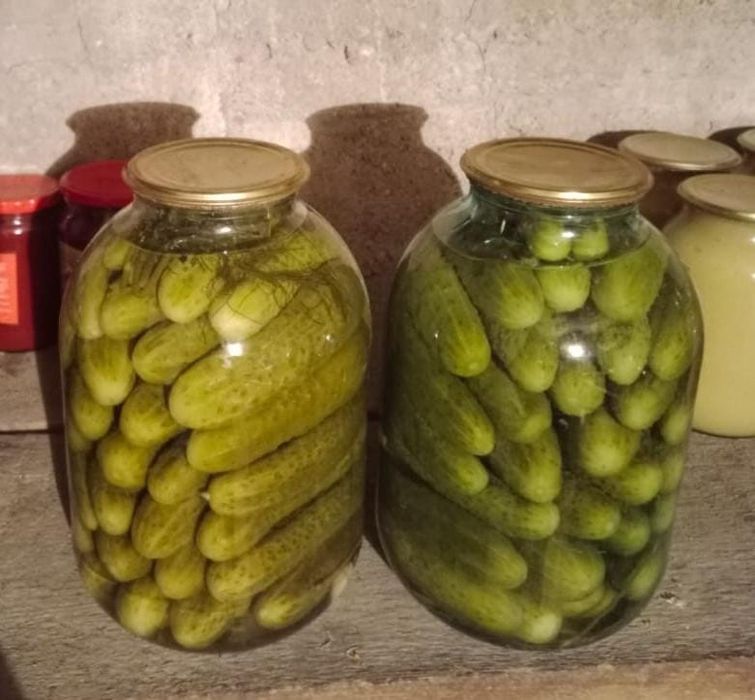 Продам домашнюю засолку
