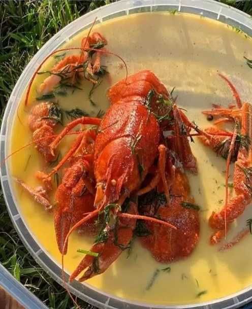 Раки варёные на любой вкус