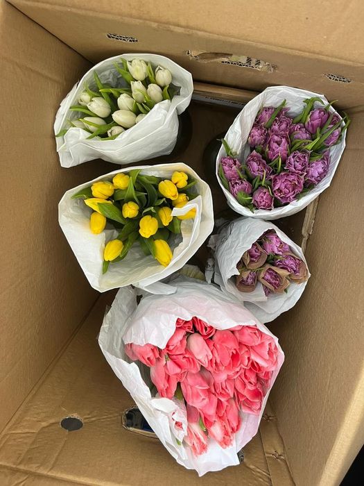 Тюльпаны по 350, 400 тг
