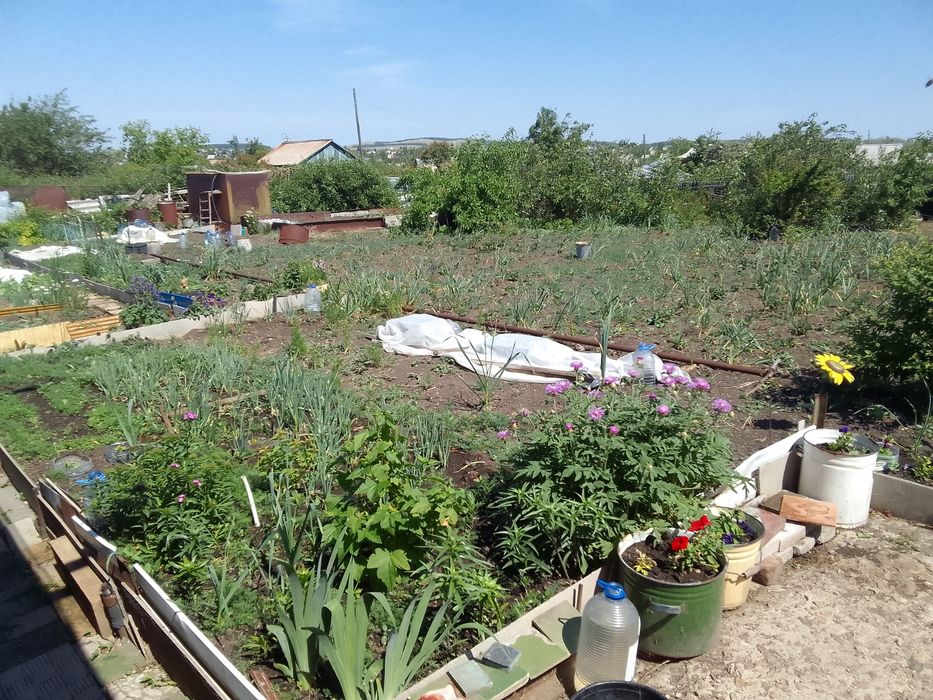 Дачный участок (дача)