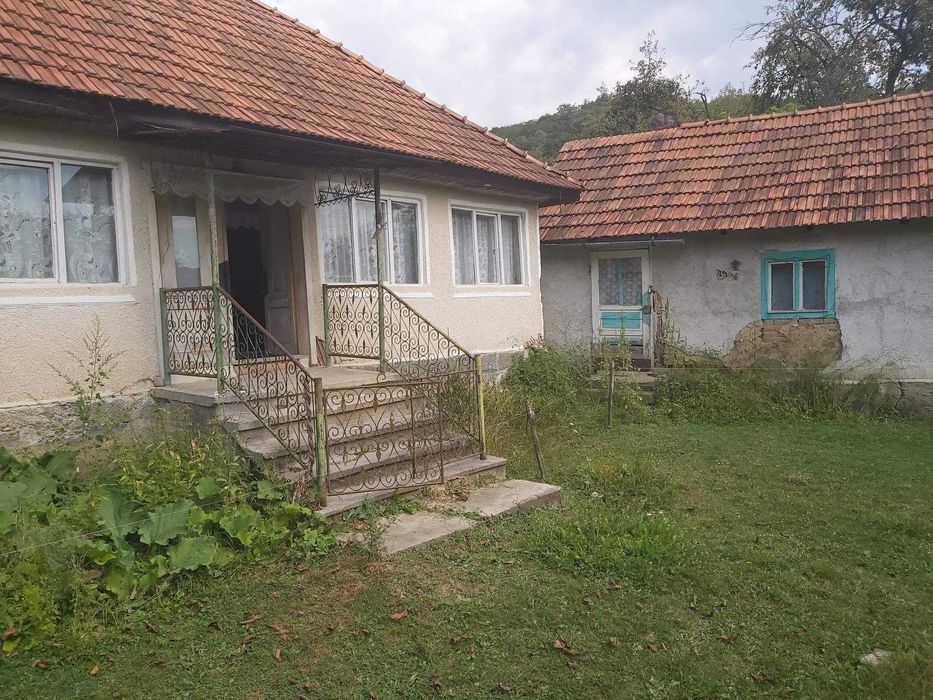 Vand Casa si gradina