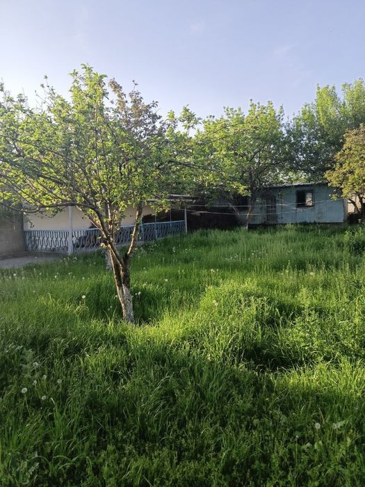 Назарбекда 6 соток ер СРОЧНО СОТИЛАДИ.