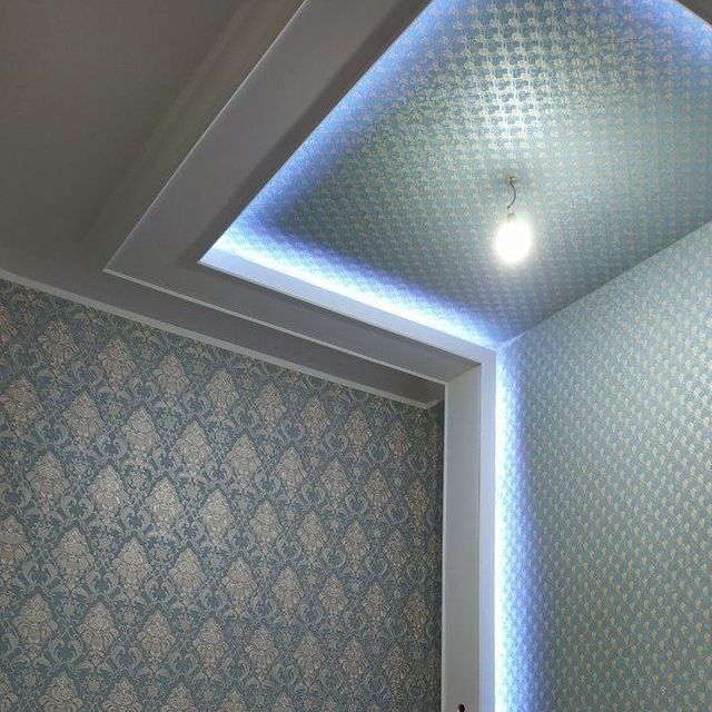 Малярка кламиз сиф