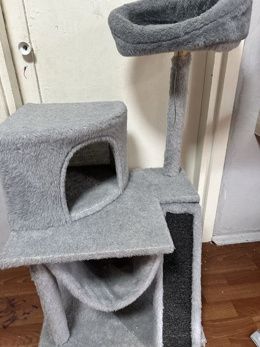 Дом кошачий)