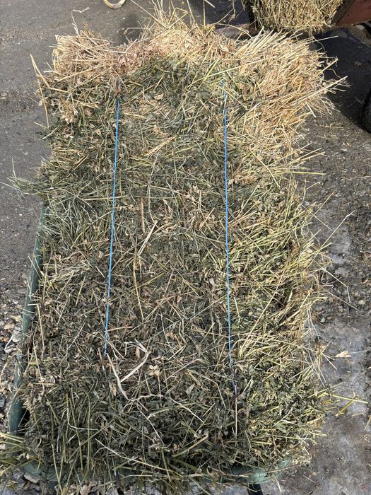 Vand baloti lucerna - productia din  2025