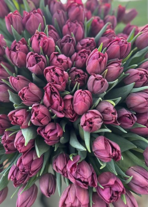 Тюльпаны букетами  по низким ценам