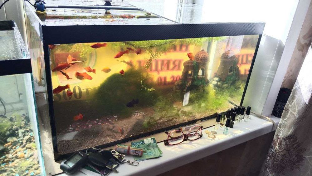 Аквариум на заказ