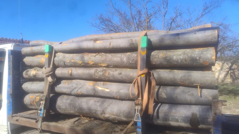 Lemne de foc fag, carpen!