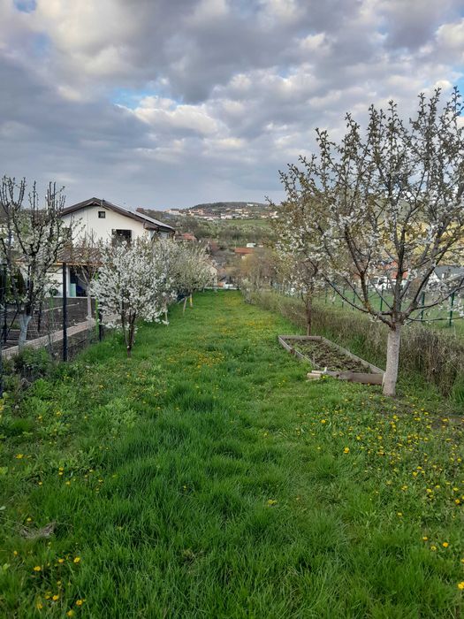 Vand teren intravilan Salicea 300 metri patrati