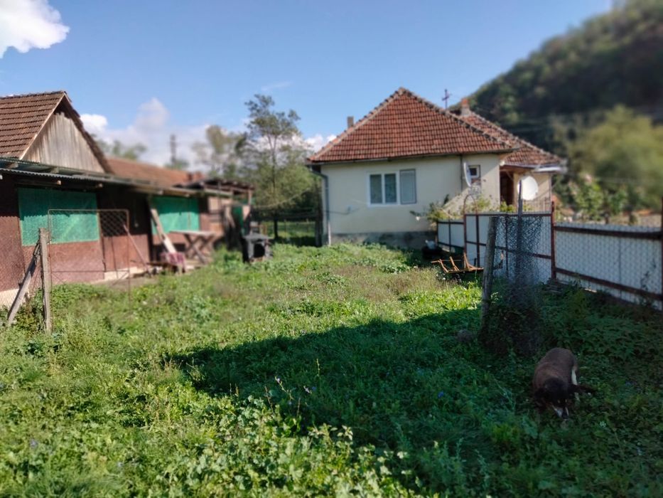 Doua case in temesesti