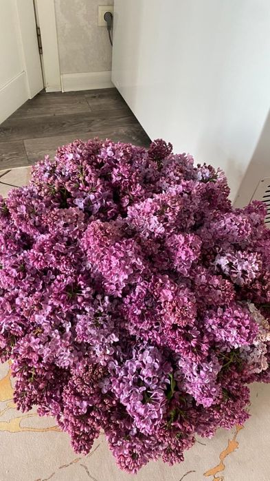 Букет цветы Сирен