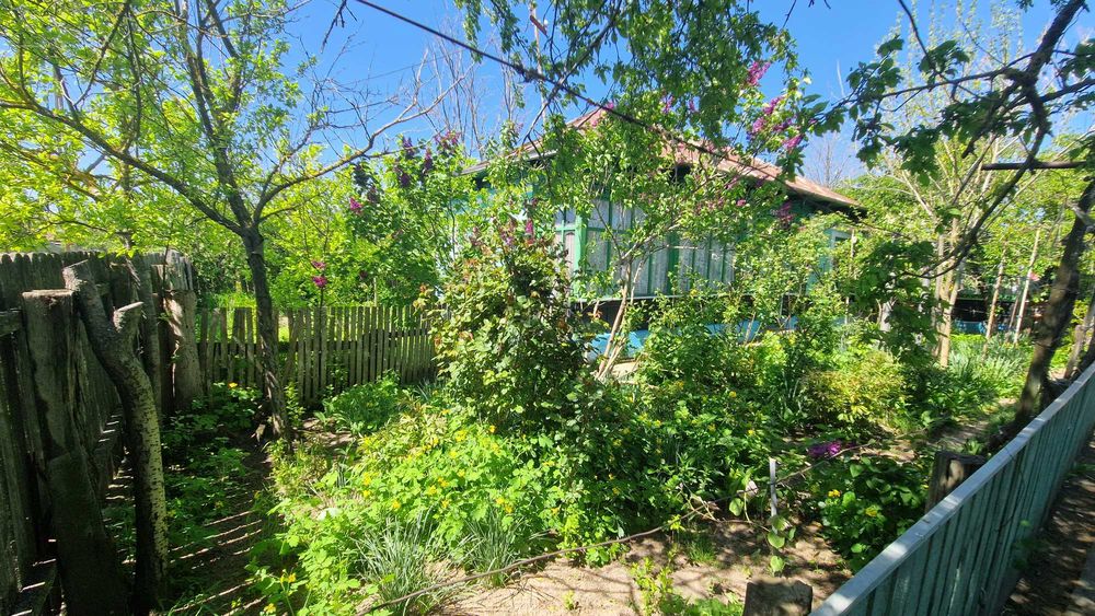 Vand casa batraneasca - 3270 mp - Comuna Traian / Jud.Braila