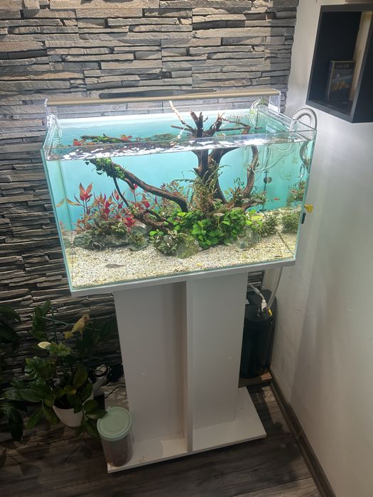 Аквариум с шкаф пълен сет