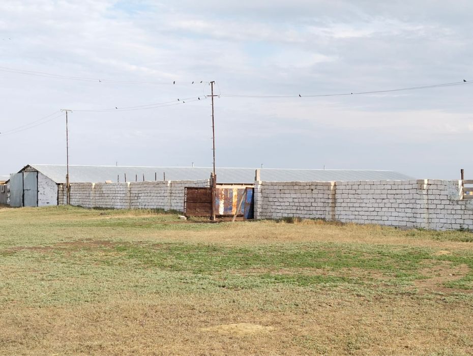 Шаруа қожалық сатылымда