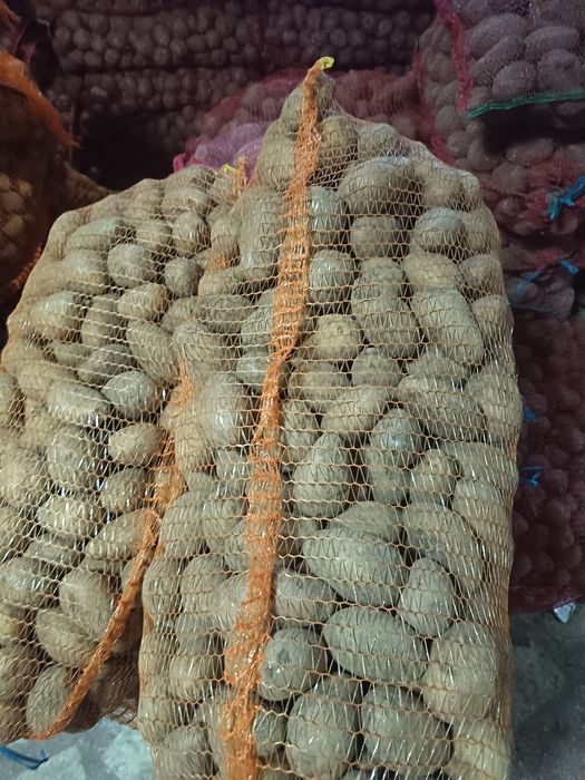 Cartofi de sămânță și de consum