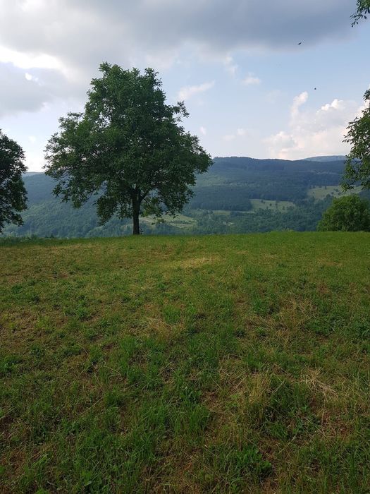 casa pamant de afaceri