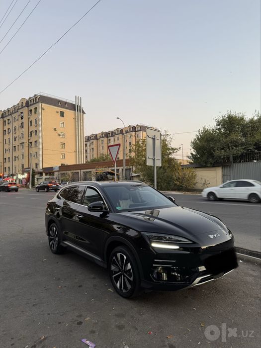 Byd chempion restayling pprobeg 30.000 km yurgan