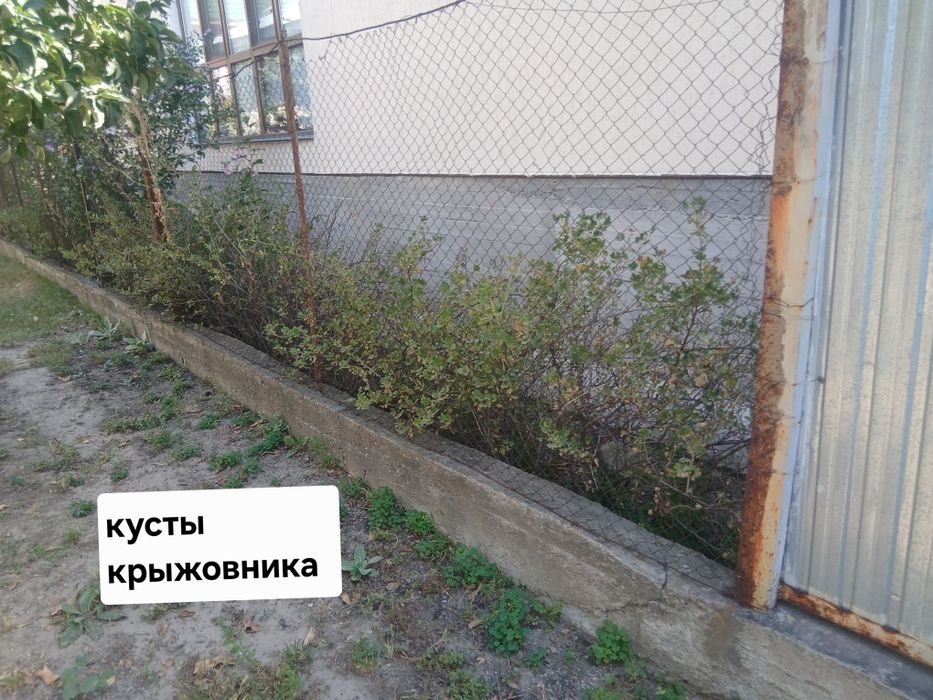 Сад и огород сад